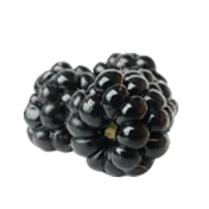 Blackberry PNG