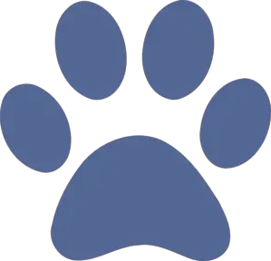 Paw PNG