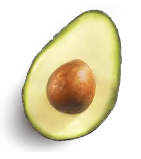 cut green avocado PNG