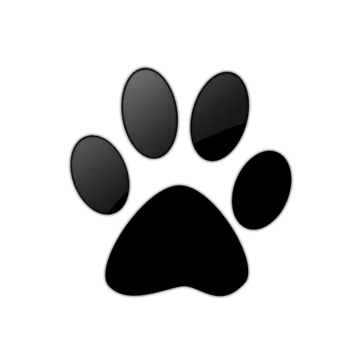 Paw PNG