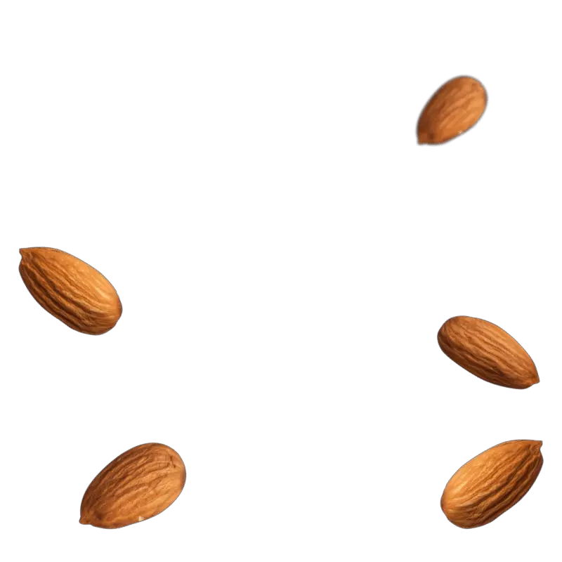 Almond PNG
