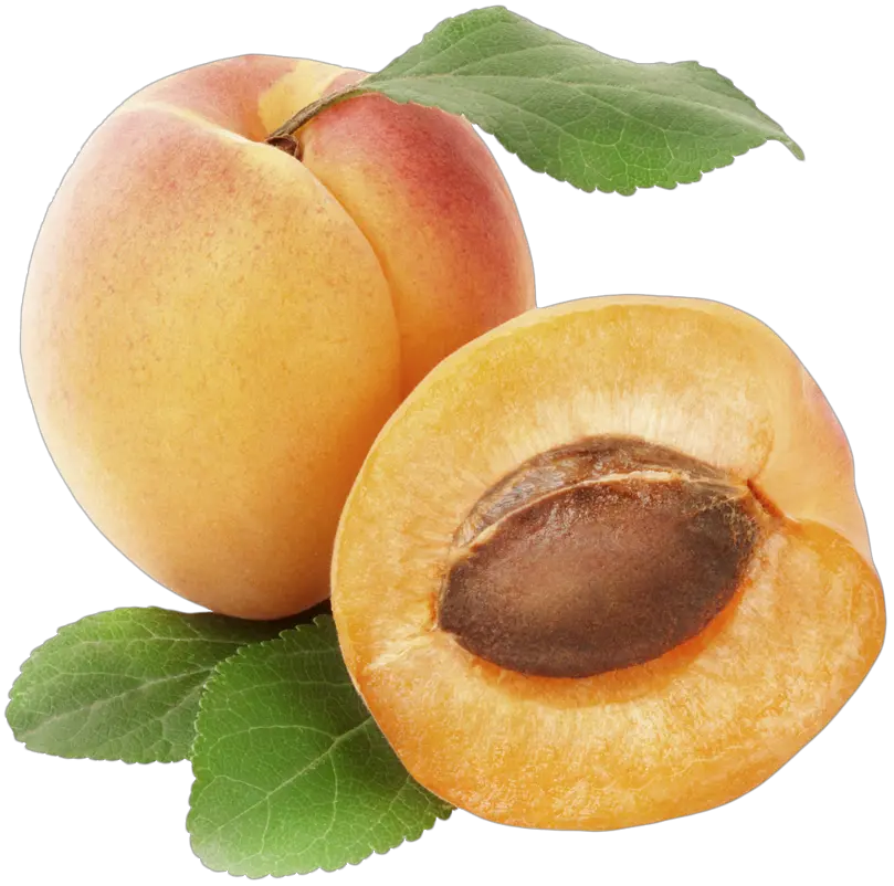 Apricots with green leaves PNG