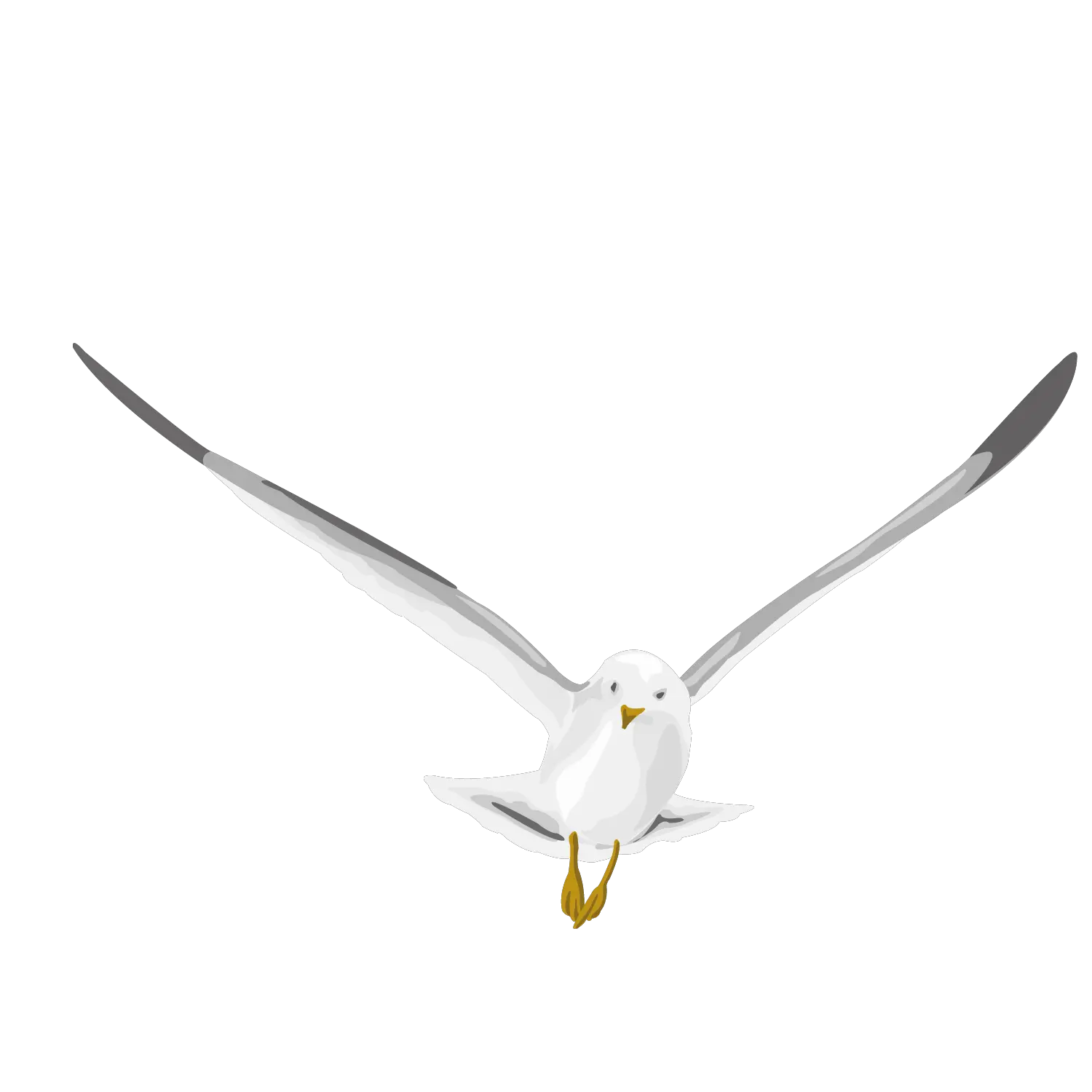 Pigeon PNG