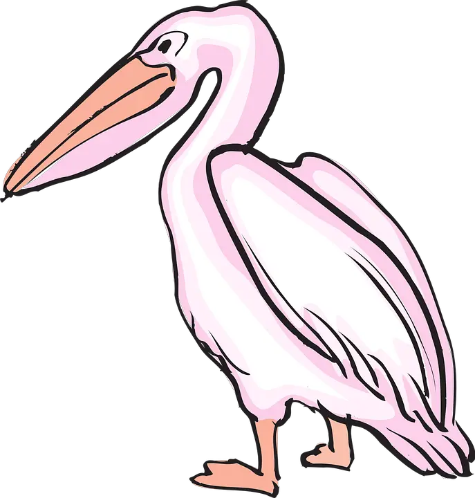 Pelican PNG