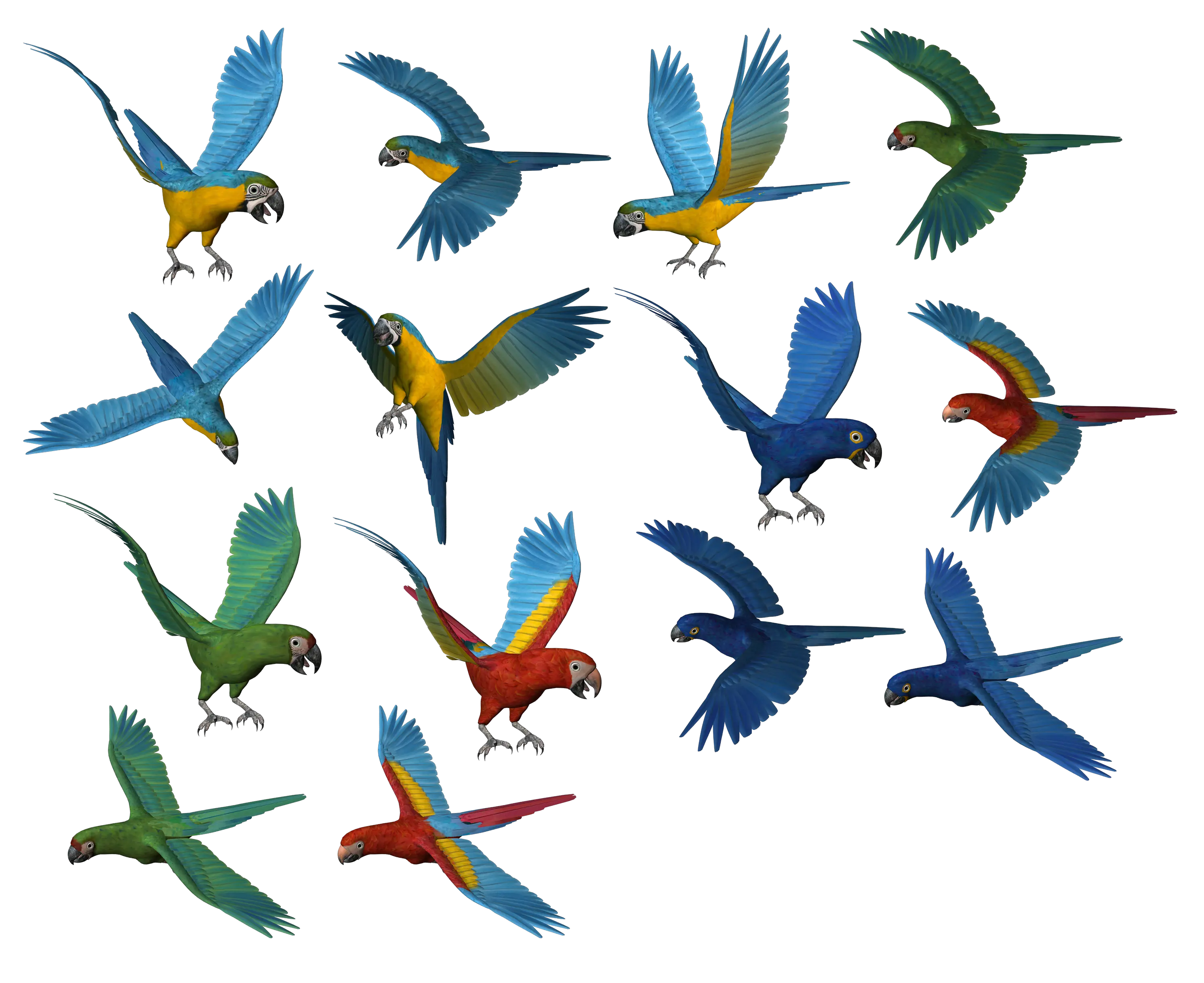 Parrot PNG images free download