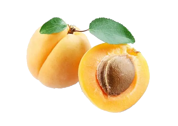 Apricot PNG