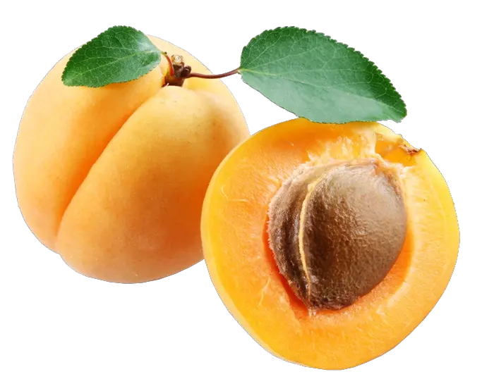 Apricot PNG