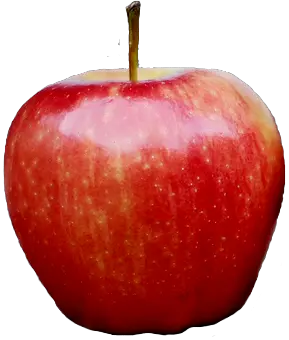 Apple PNG