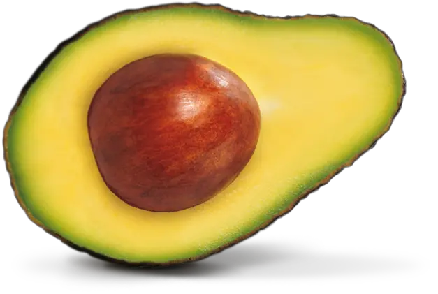 Avocado PNG