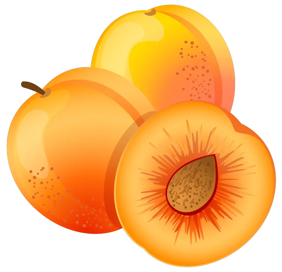 Apricots PNG