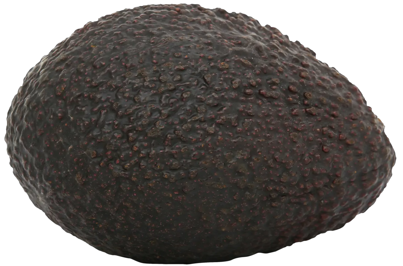 Avocado PNG