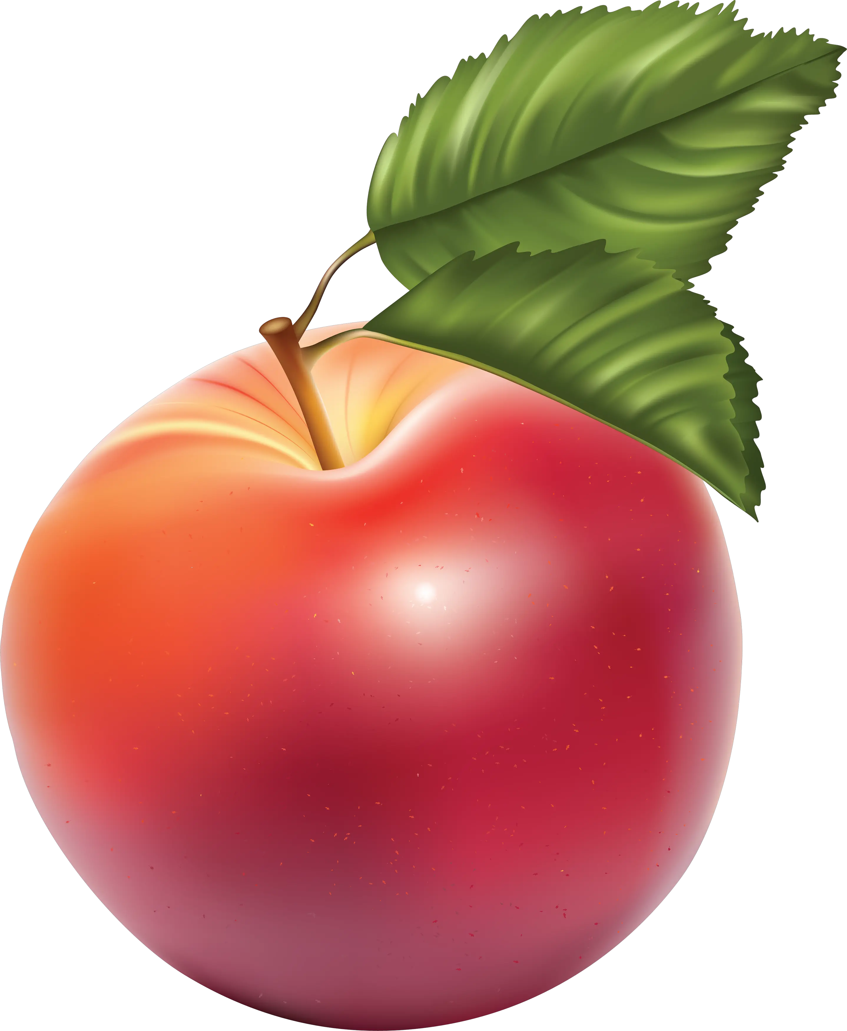 red apple rendered image PNG