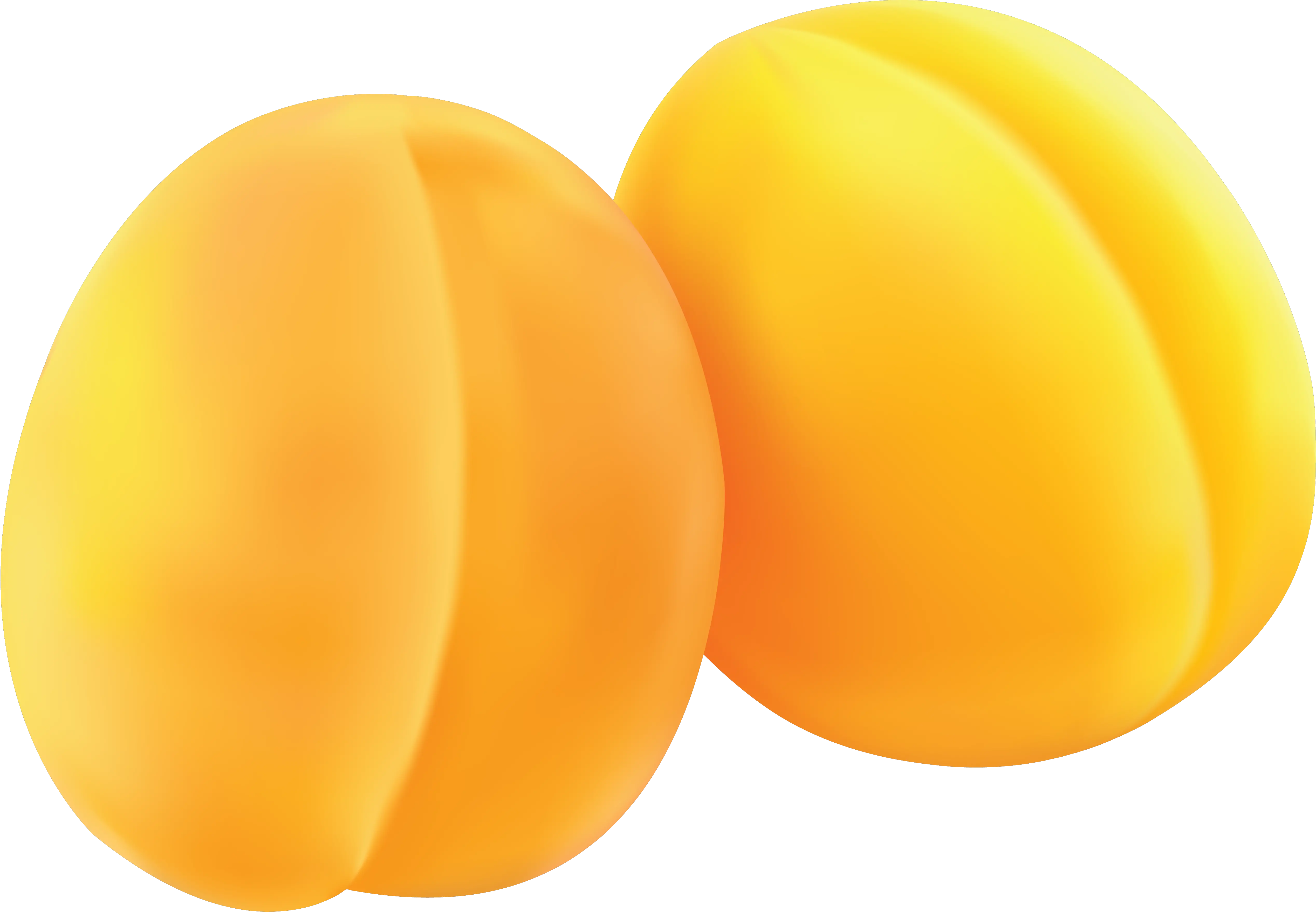 two yellow apricots PNG