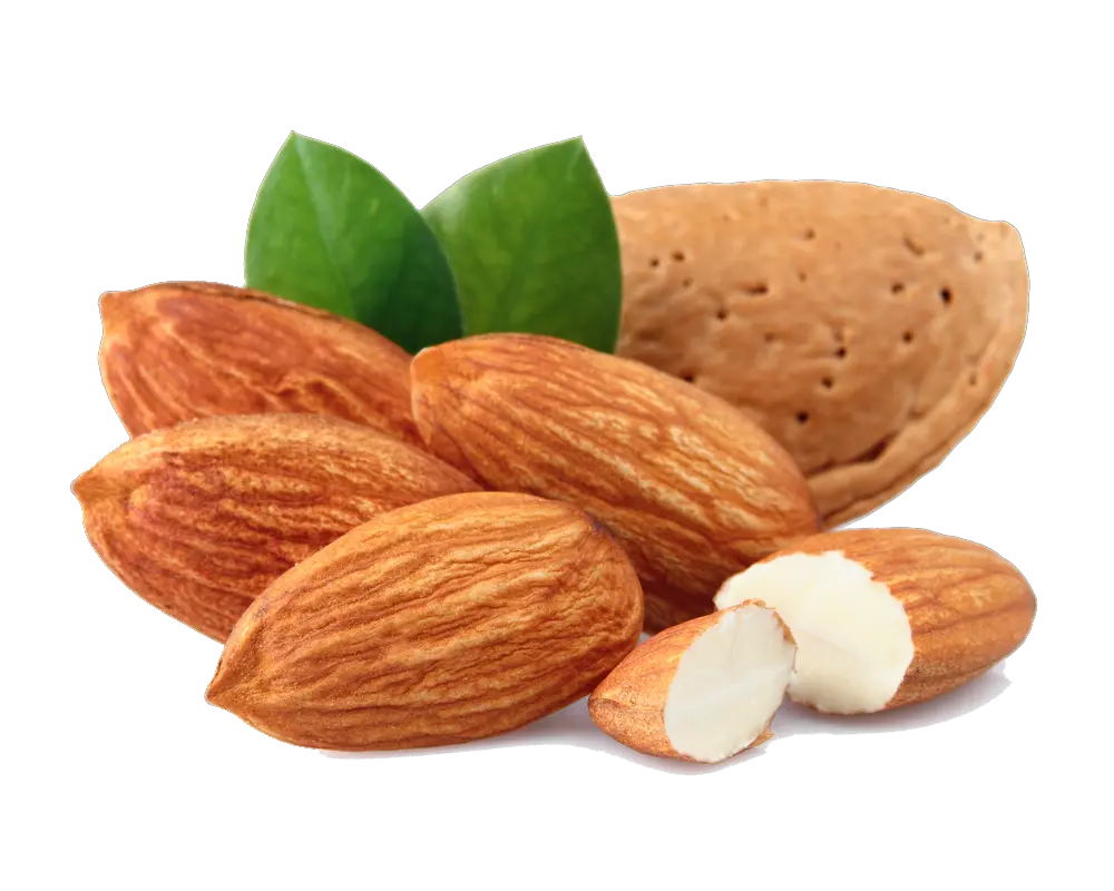 Almonds image PNG