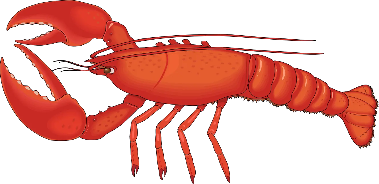 Lobster PNG