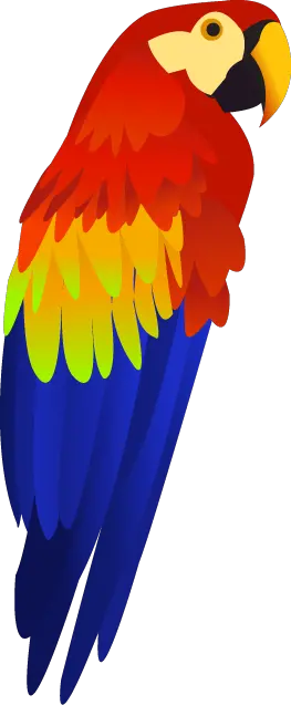 Colorful parrot PNG images free download