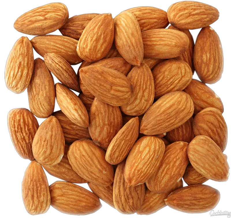 Almond PNG