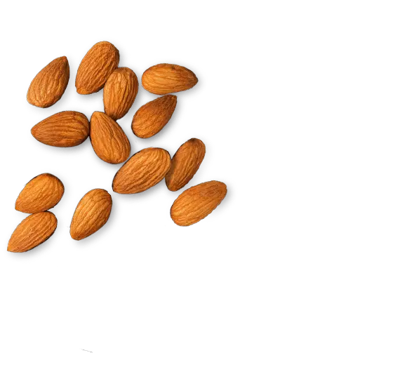 Almond PNG