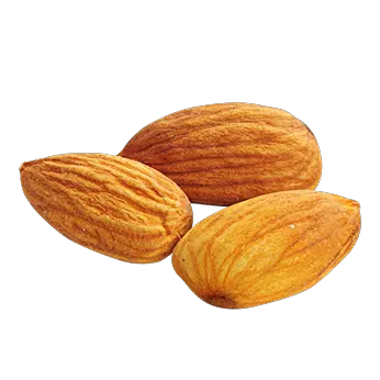 Almonds PNG image with transparent background
