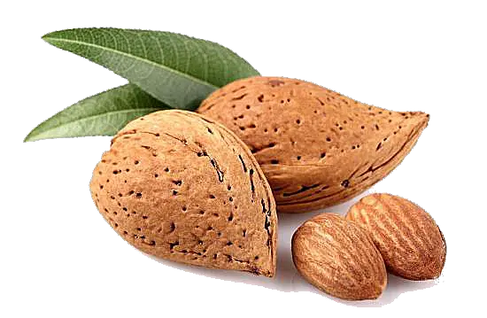 Almonds with leaves PNG