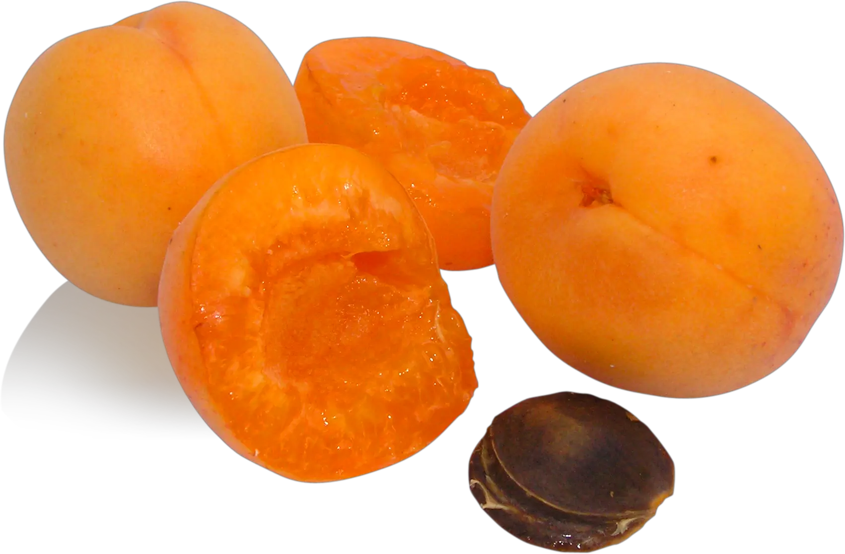 Orange apricots PNG
