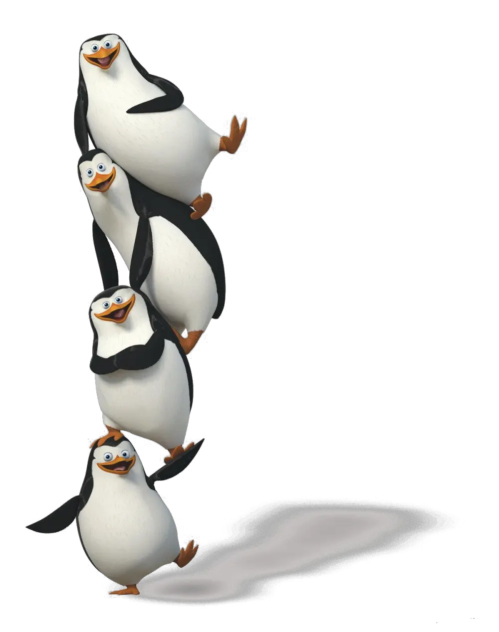 Penguins PNG image