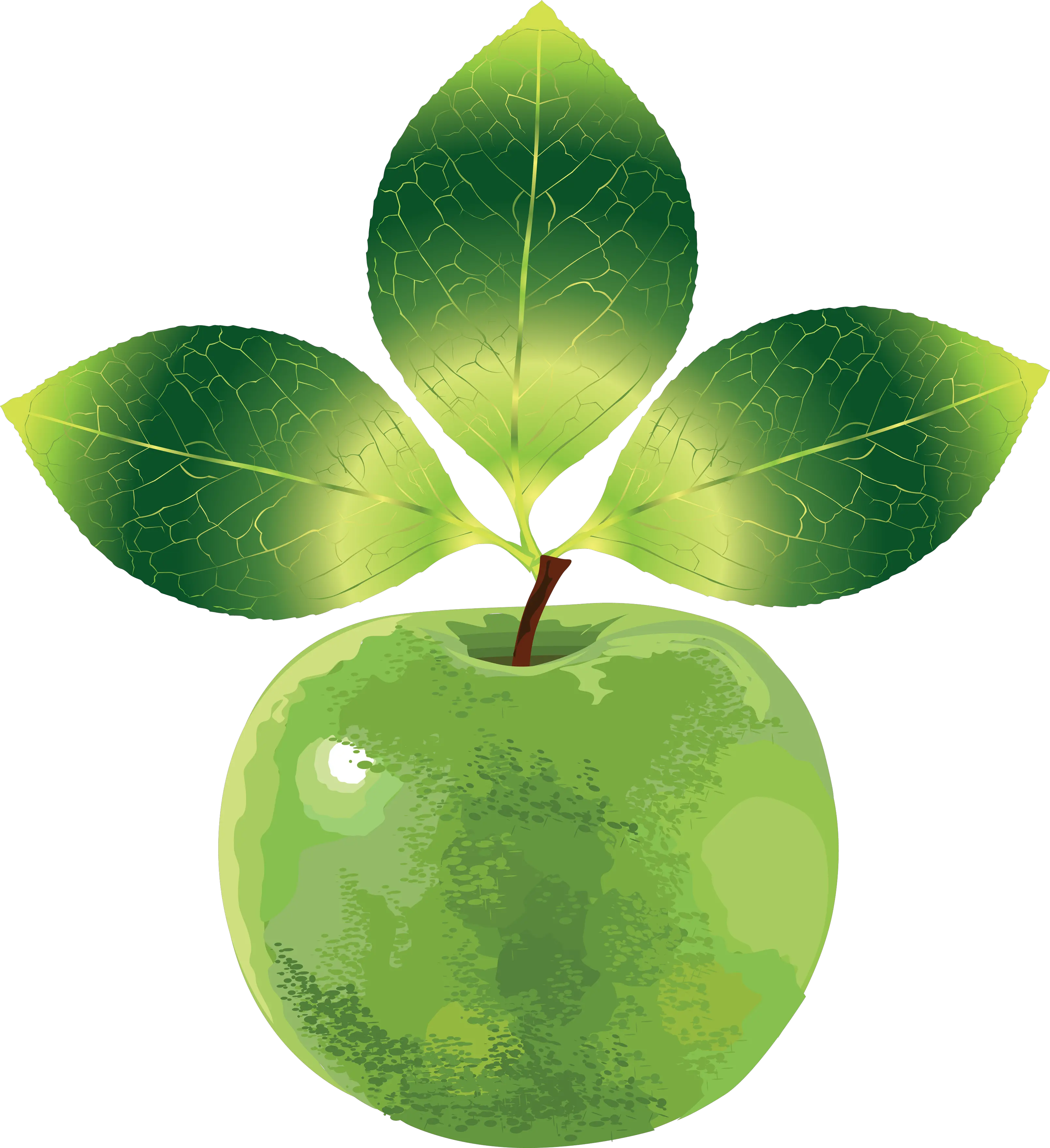 Apple transparent PNG