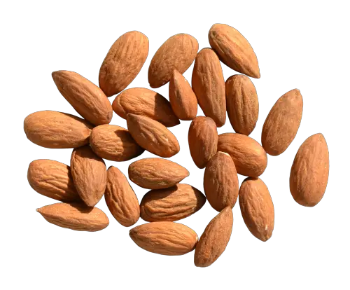Many almonds PNG