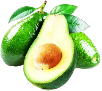 Avocados PNG