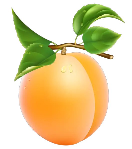 Apricot wih green leaves PNG