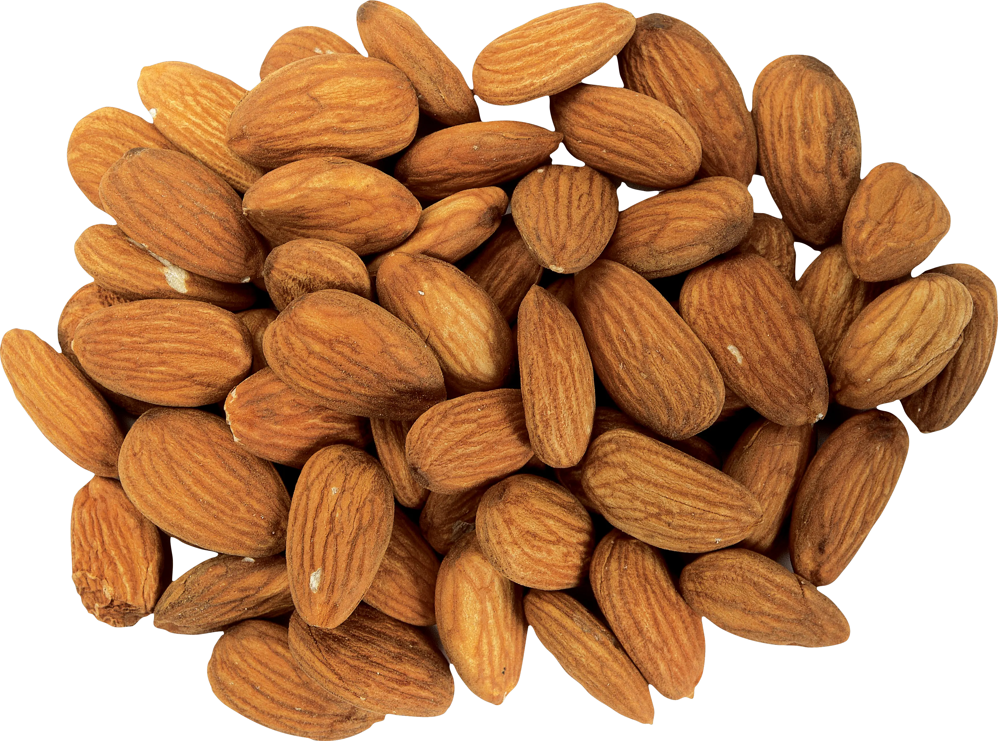 Many almonds almond PNG