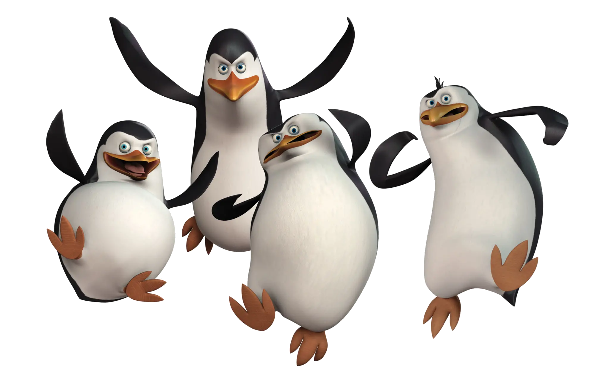 Penguins PNG image Madagascar penguins PNG image