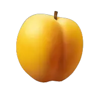 Orange apricot PNG