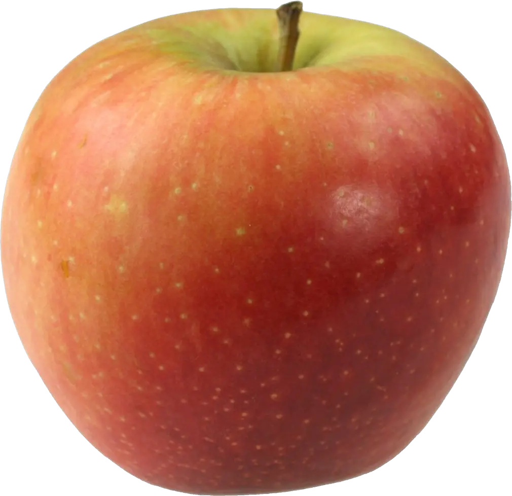 Apple PNG