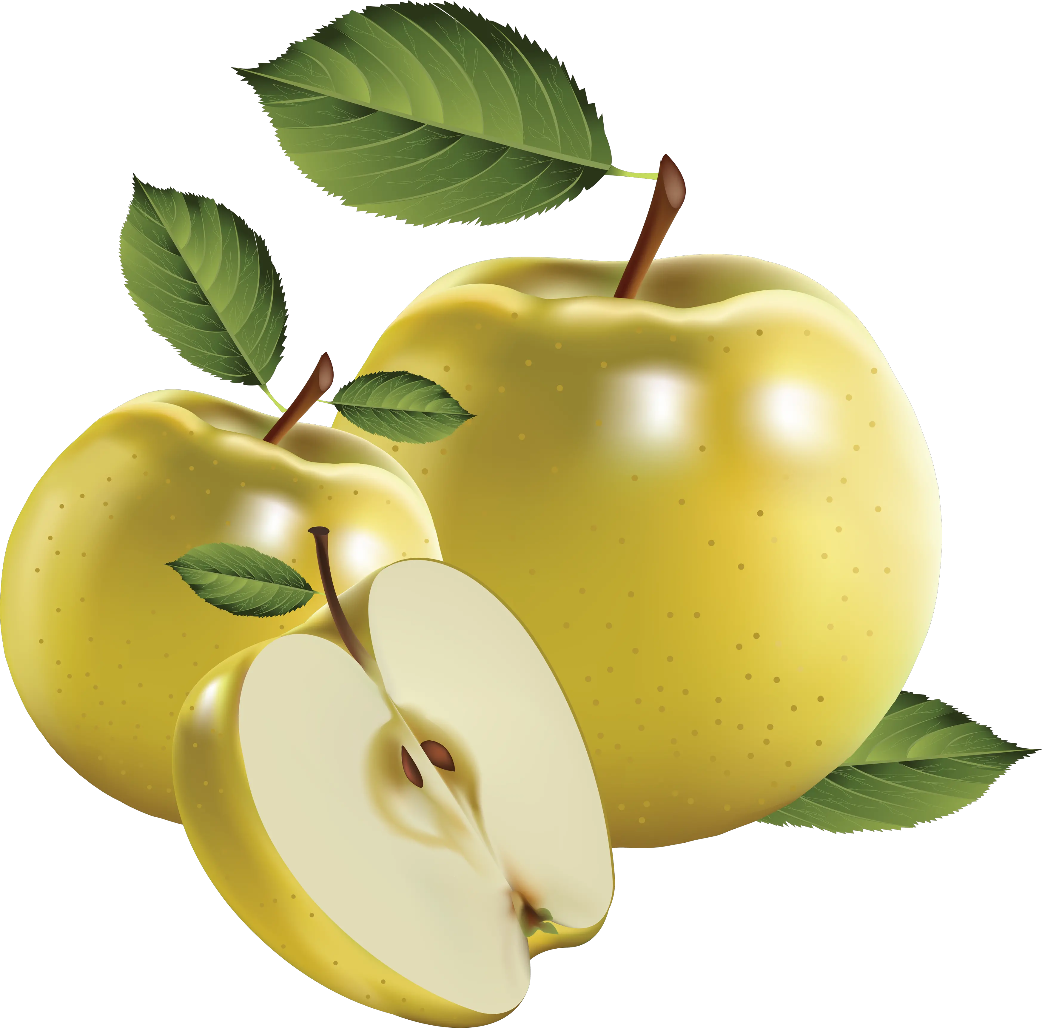 Apple PNG apples png
