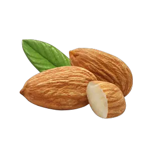 Almonds with leaf PNG