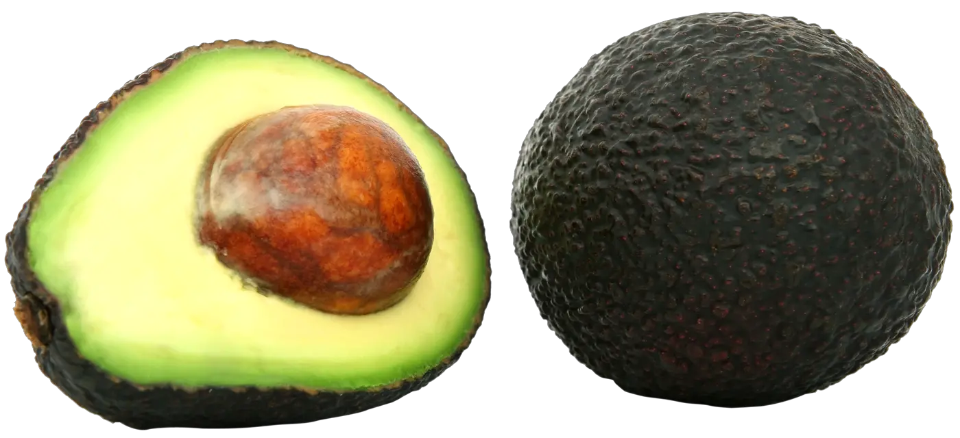 round avocados PNG