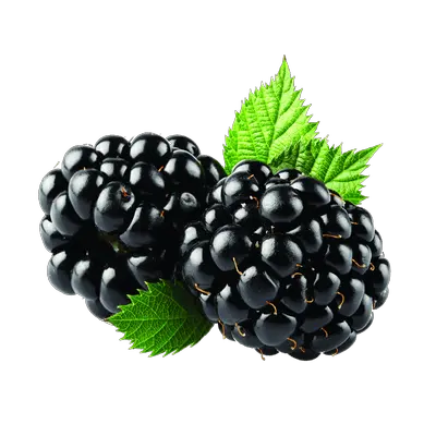 Blackberry PNG