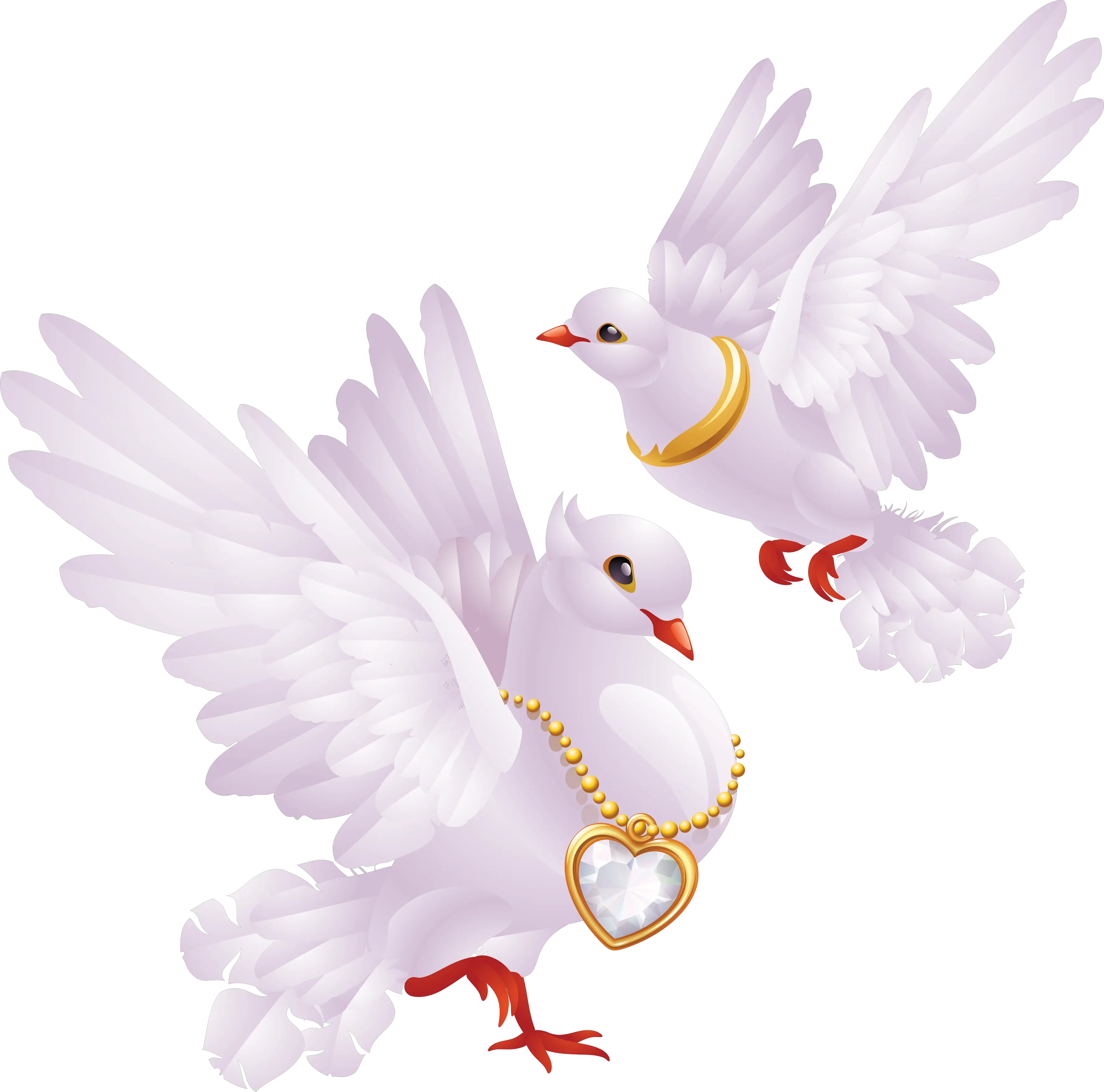White pigeons PNG image