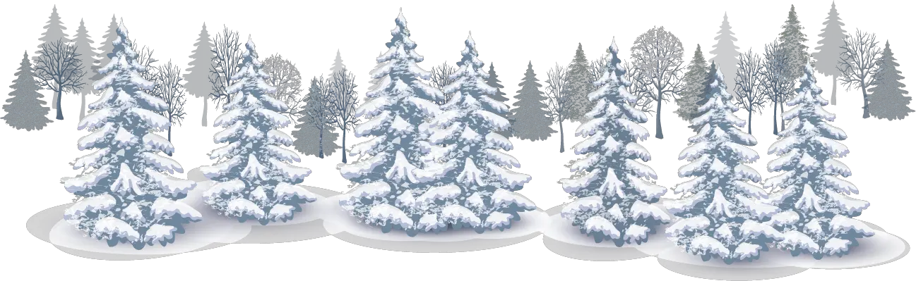 Winter forest PNG