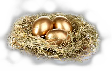 Nest PNG