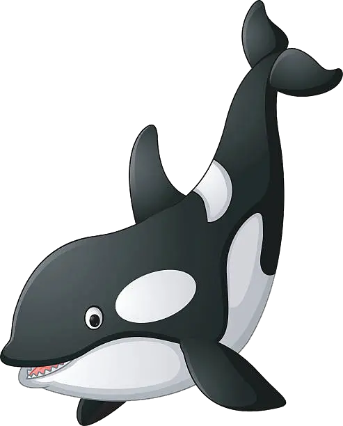 Killer whale PNG