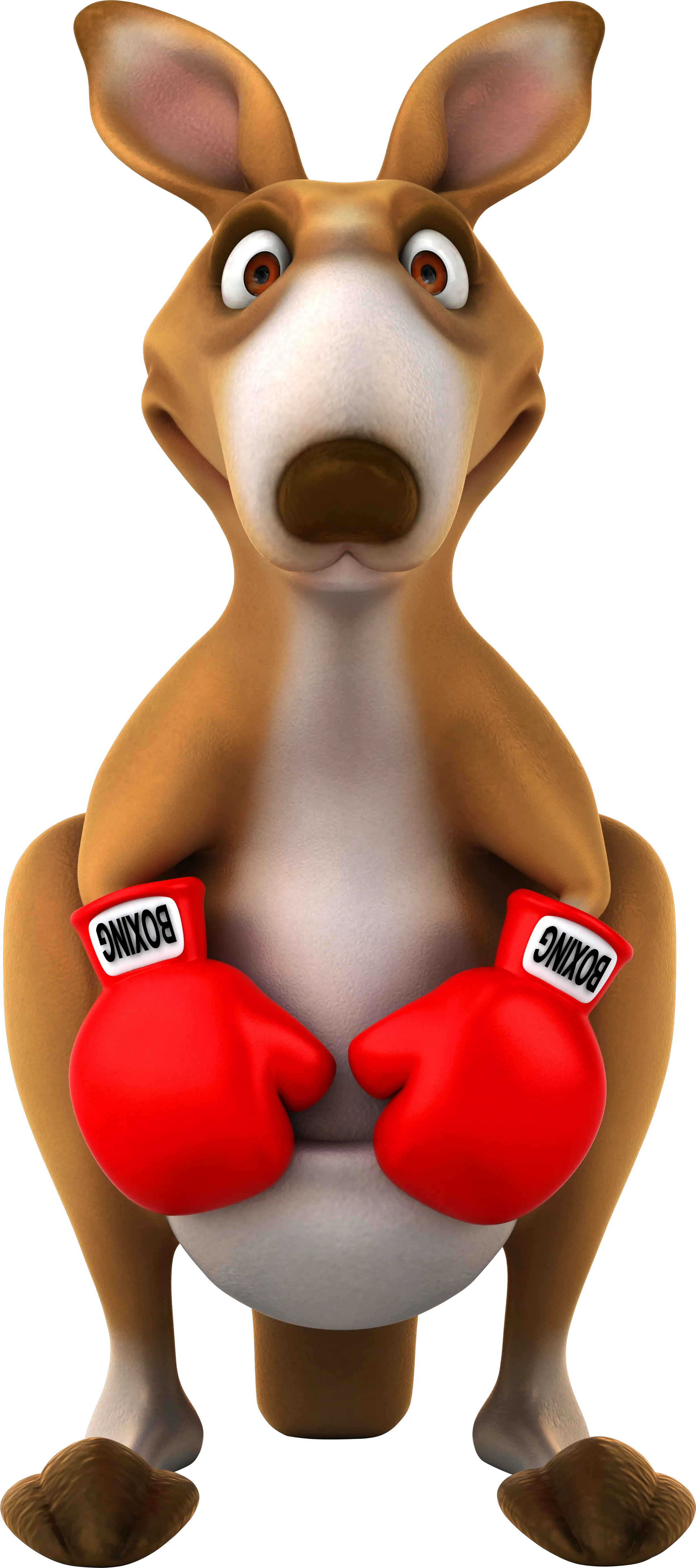 Kangaroo PNG