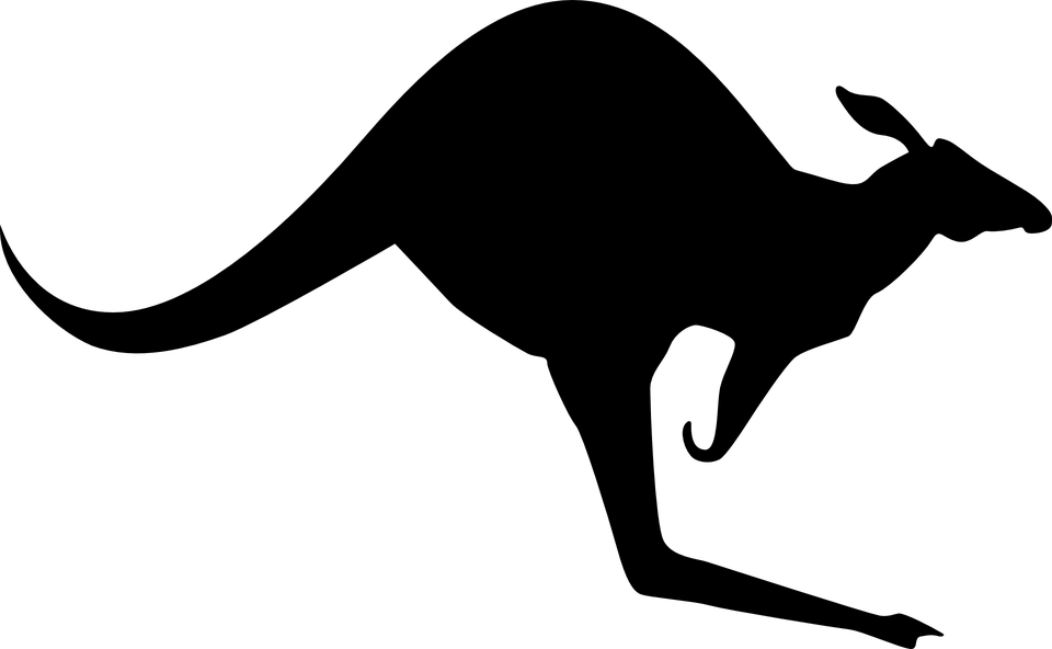 Kangaroo PNG