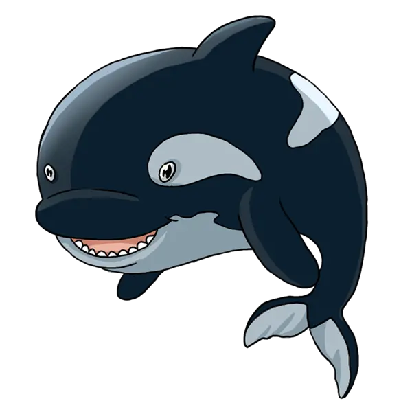 Killer whale PNG