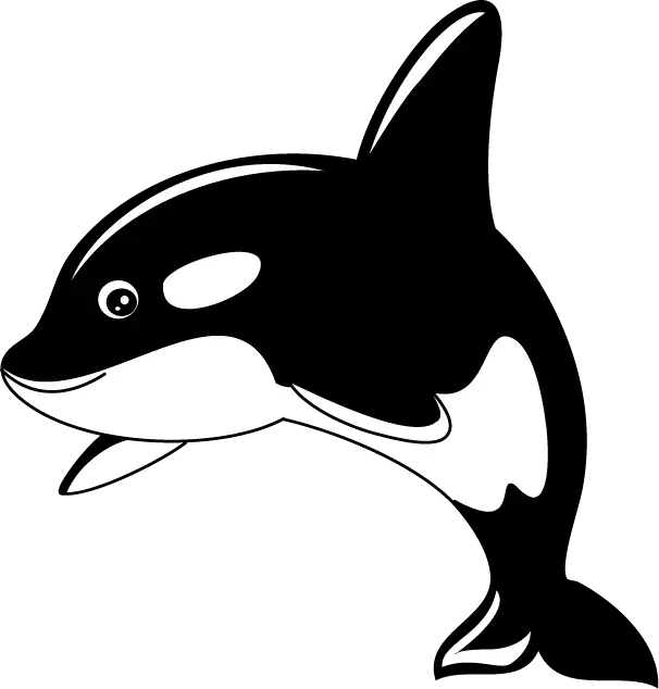 Killer whale PNG
