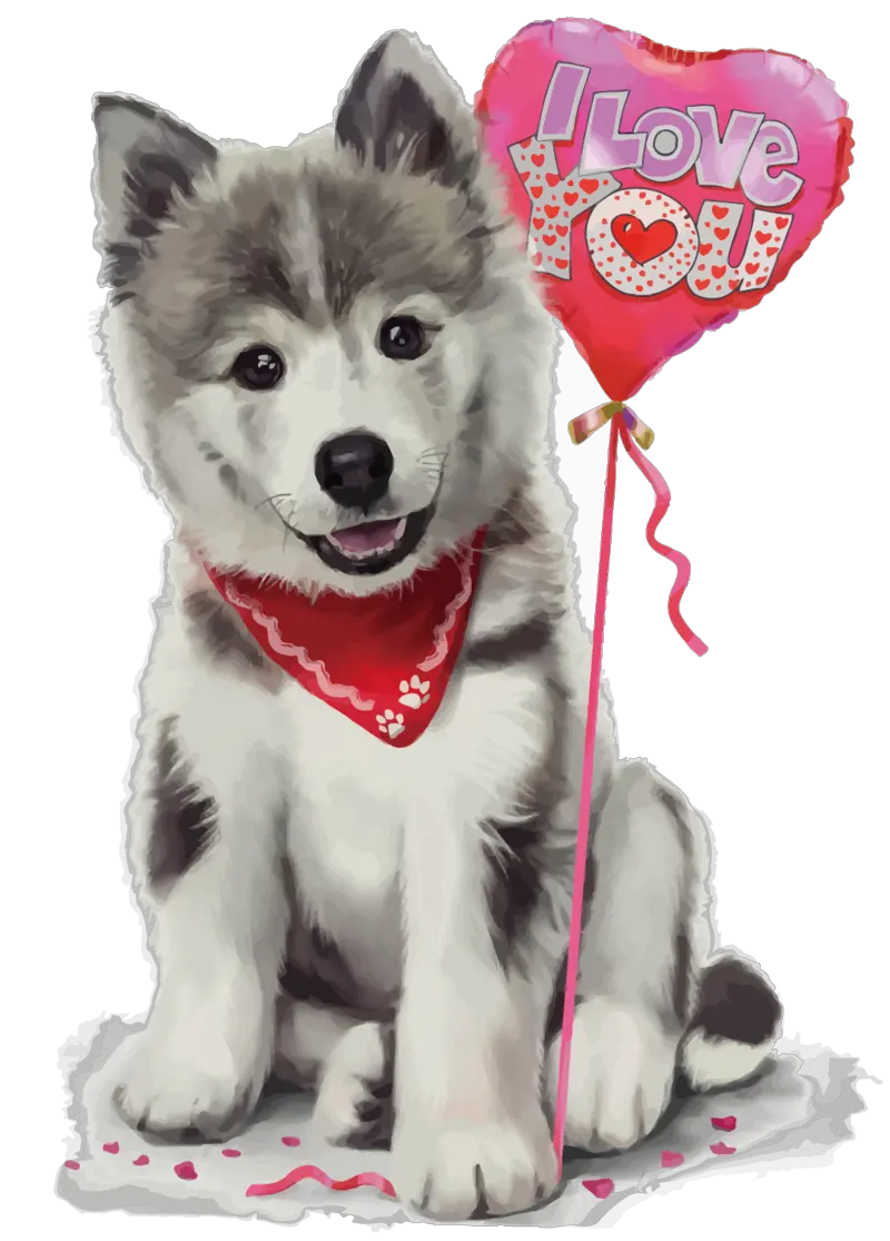 Husky PNG
