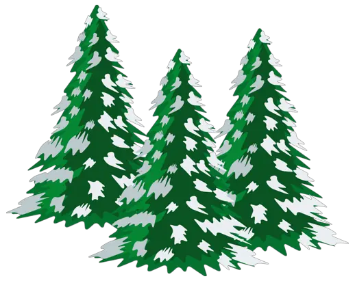 Winter forest PNG