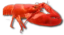 Lobster PNG