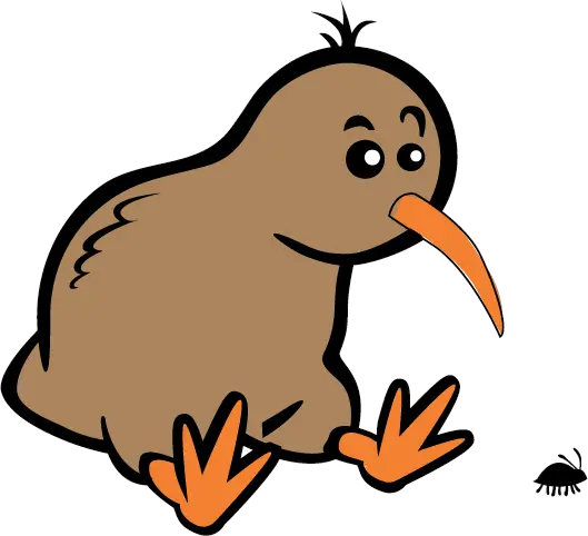 Kiwi bird PNG
